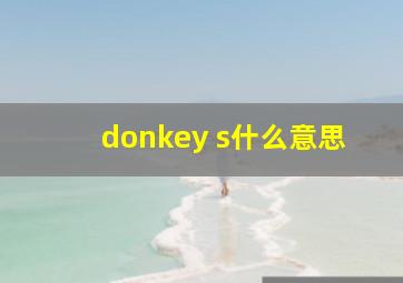 donkey s什么意思